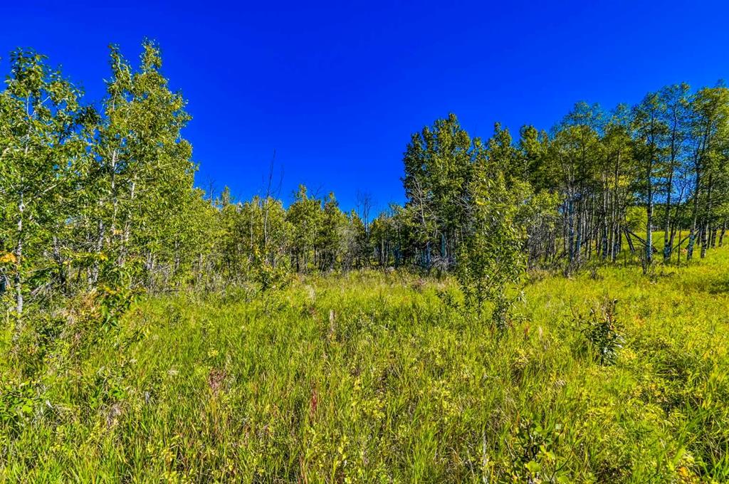 Lot 3 Whitetail Road