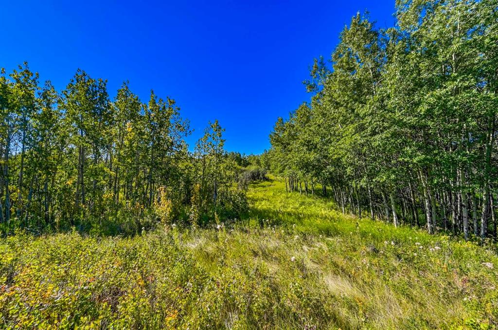 Lot 3 Whitetail Road