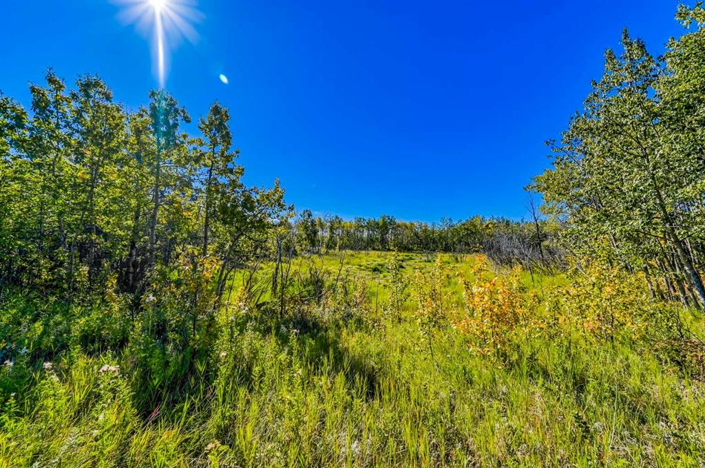 Lot 3 Whitetail Road