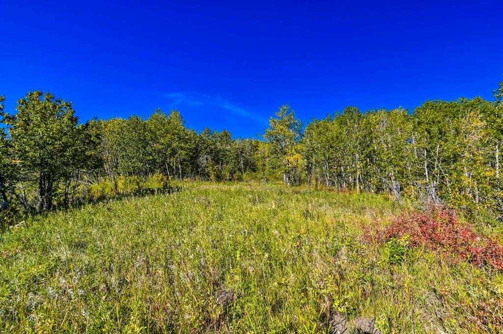 Lot 3 Whitetail Road