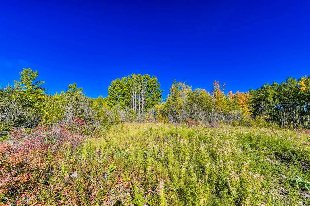 Lot 3 Whitetail Road