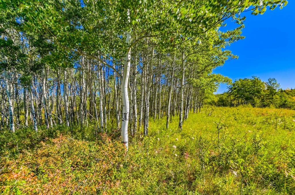 Lot 3 Whitetail Road