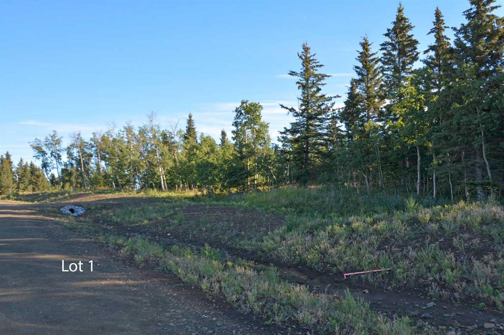 256116 Whiskey Springs Point W