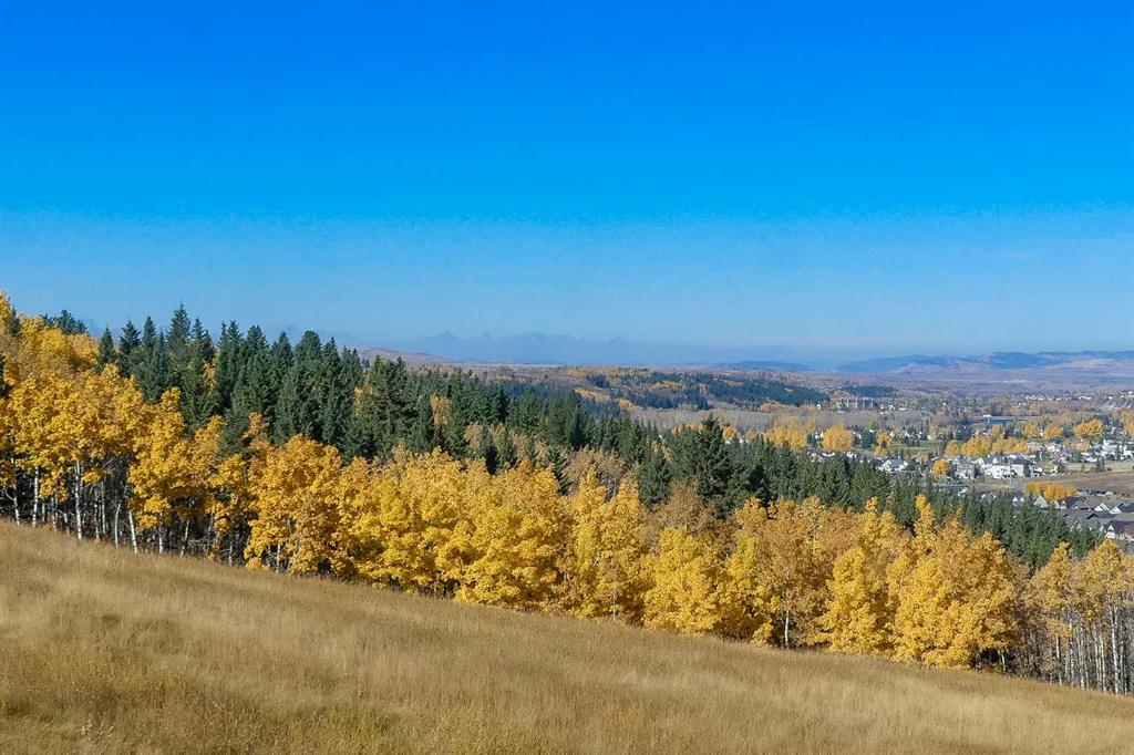 15 Ridge View Place