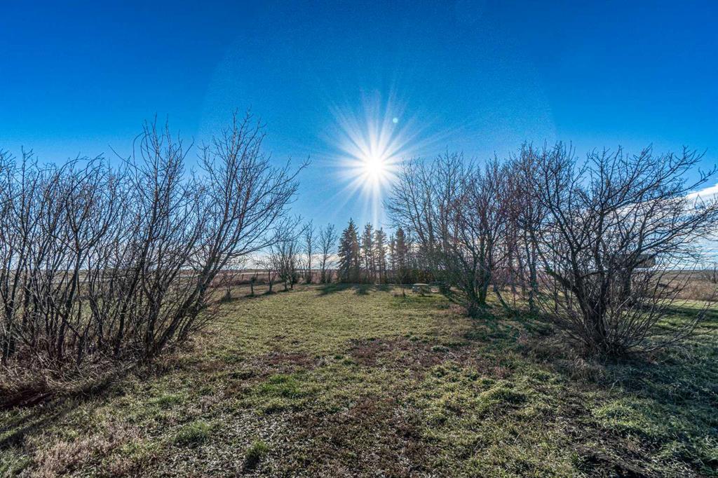 306005 Highway 799