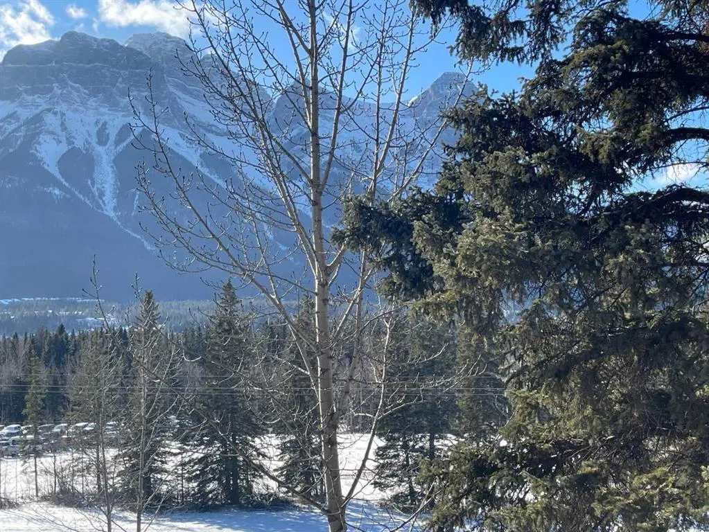 191 Kananaskis Way, #305
