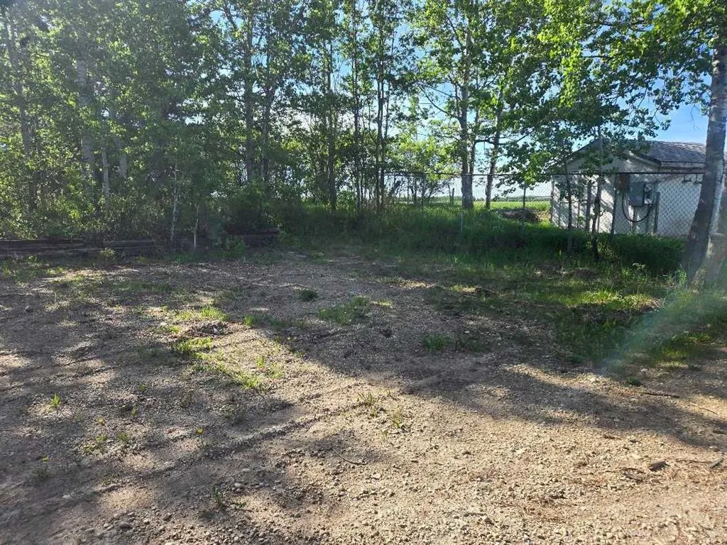 1019 391 Township