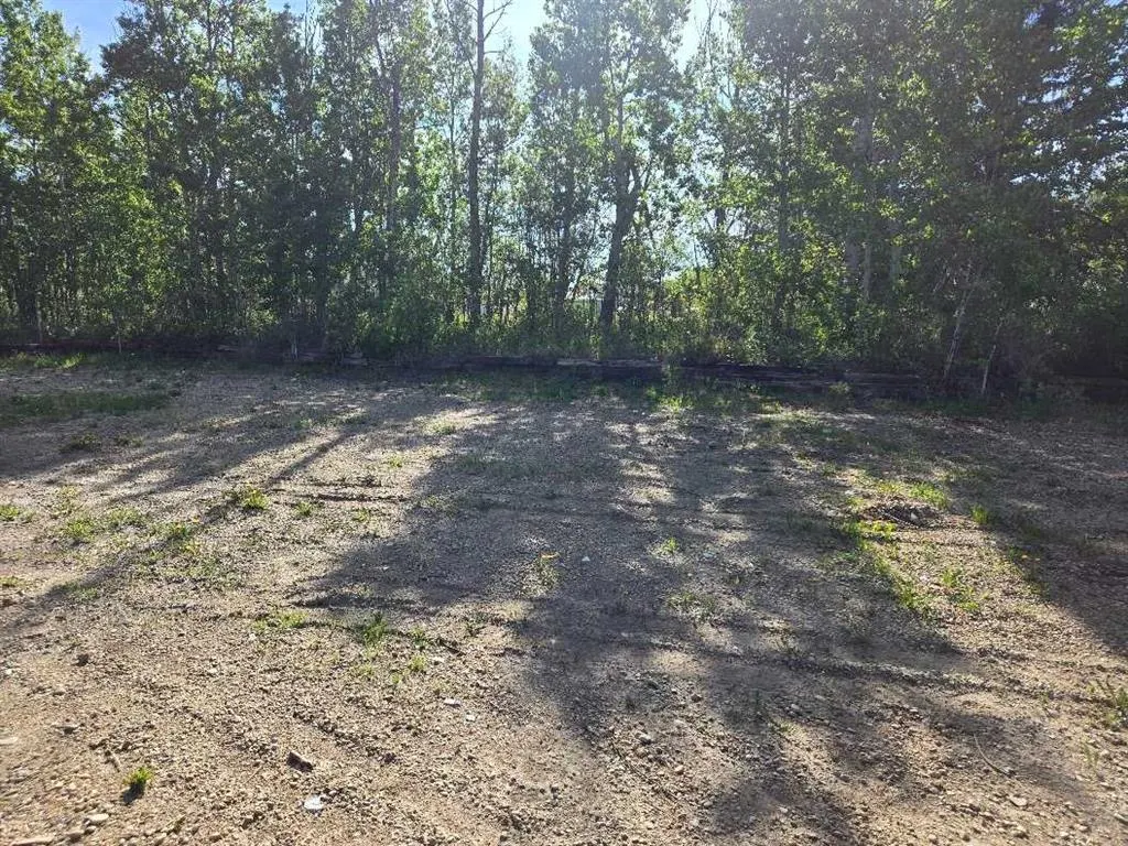 1019 391 Township