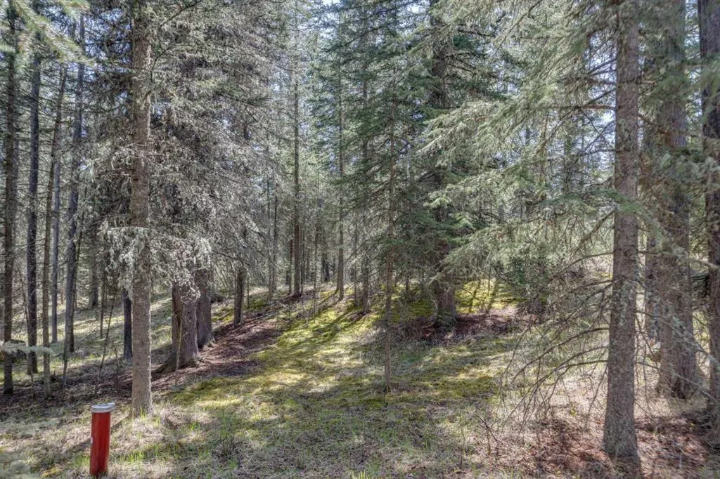 231057 Range Rd 54