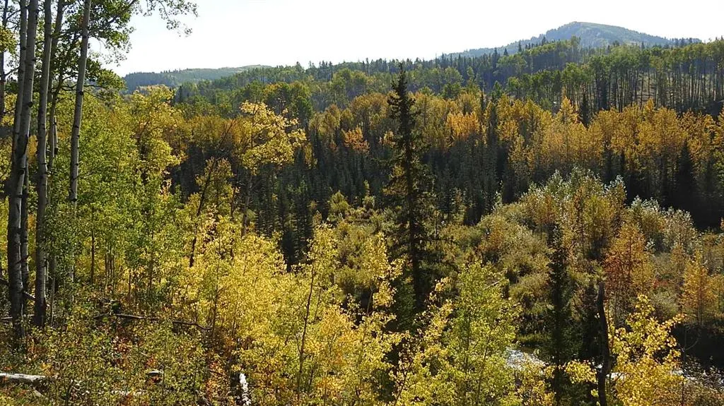 108 Acres bordering Kananaskis