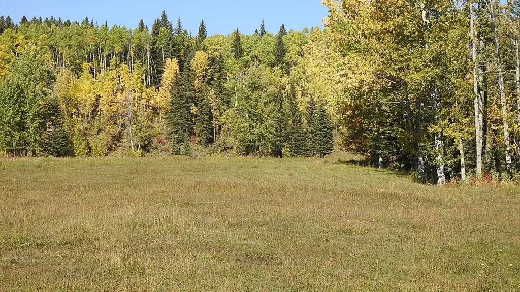 108 Acres bordering Kananaskis