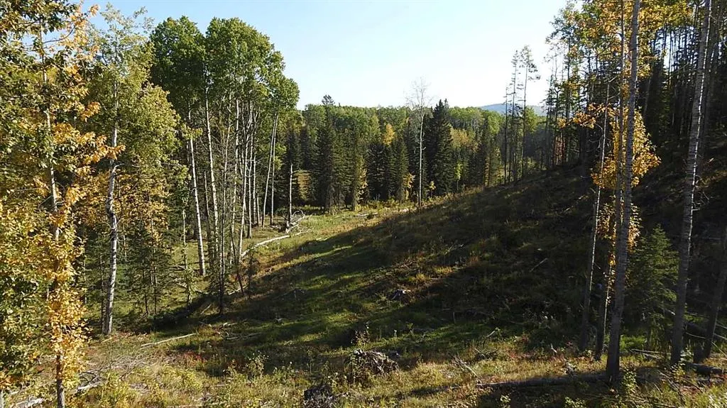 108 Acres bordering Kananaskis