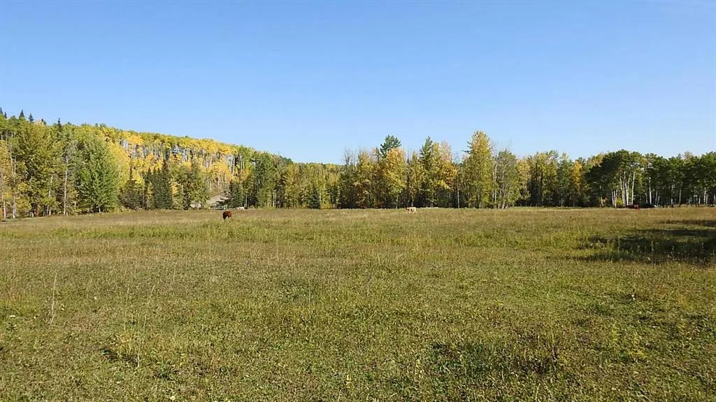 108 Acres bordering Kananaskis