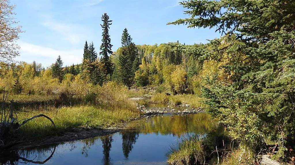 108 Acres bordering Kananaskis