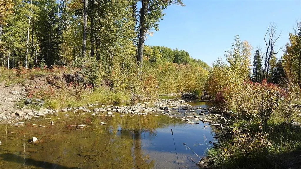 108 Acres bordering Kananaskis