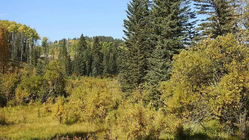 108 Acres bordering Kananaskis