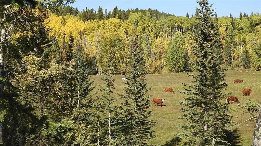 108 Acres bordering Kananaskis