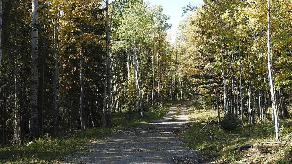108 Acres bordering Kananaskis