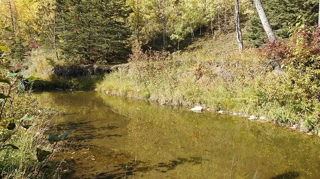 108 Acres bordering Kananaskis