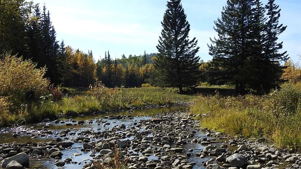 108 Acres bordering Kananaskis