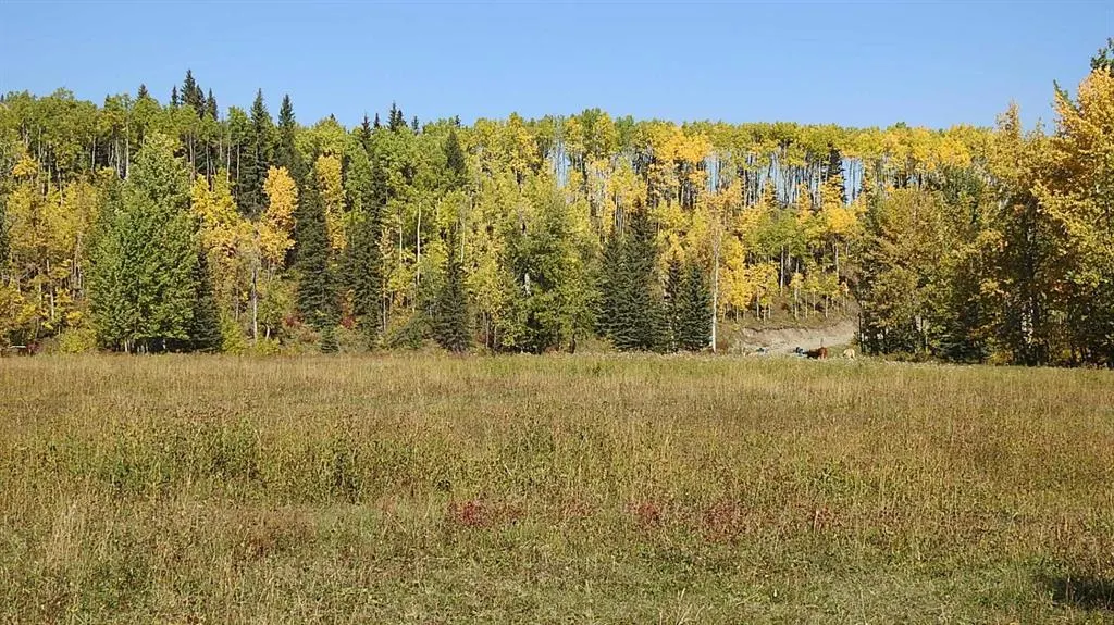 108 Acres bordering Kananaskis
