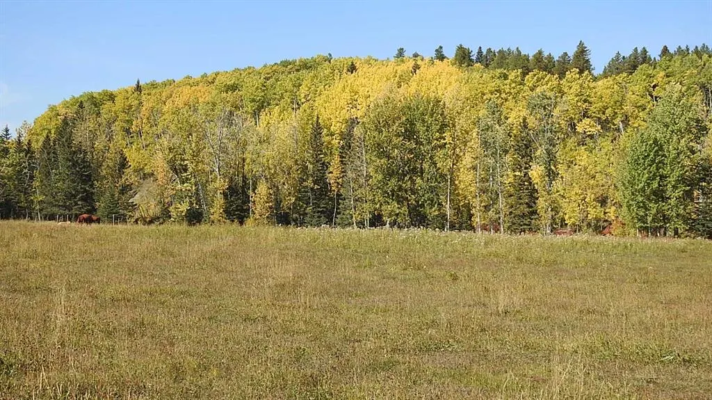 108 Acres bordering Kananaskis