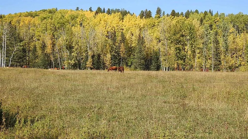 108 Acres bordering Kananaskis