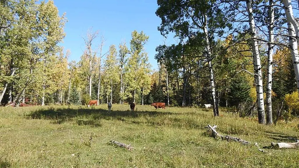 108 Acres bordering Kananaskis