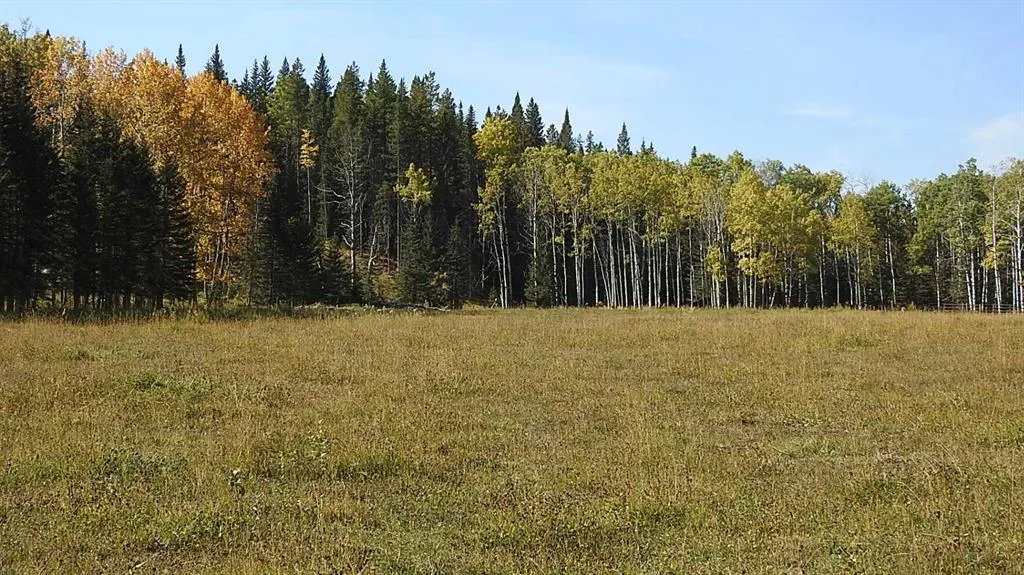108 Acres bordering Kananaskis