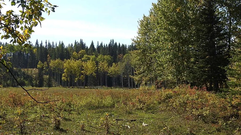 108 Acres bordering Kananaskis