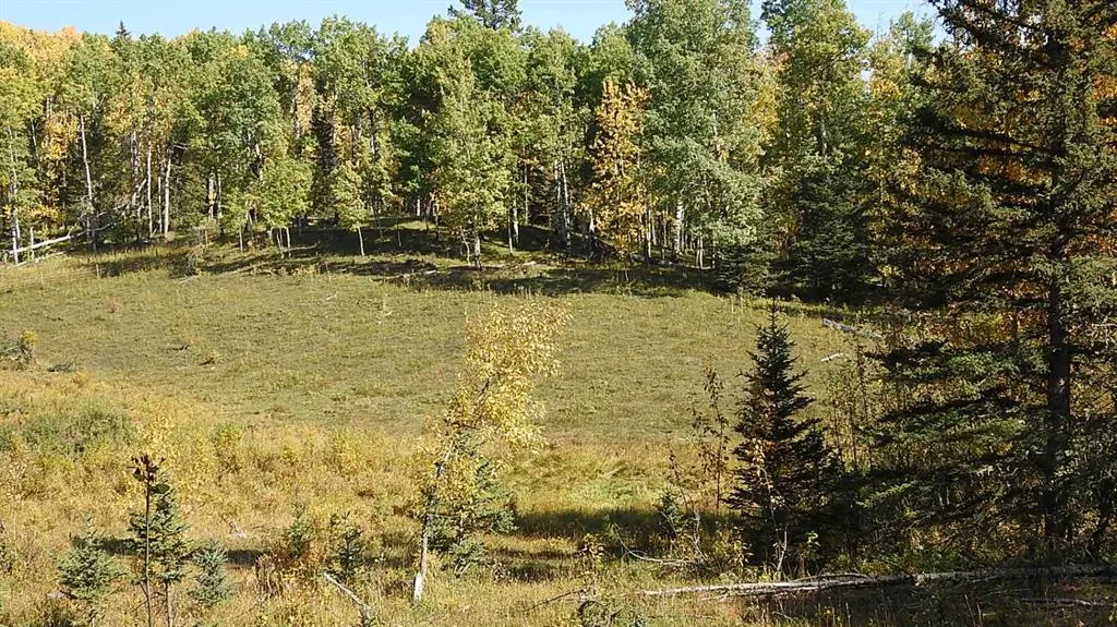 108 Acres bordering Kananaskis