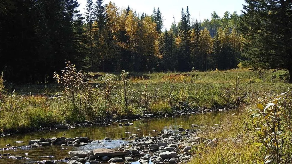 108 Acres bordering Kananaskis