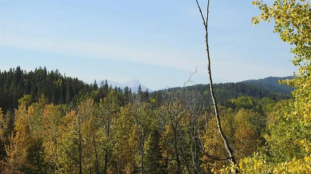 108 Acres bordering Kananaskis