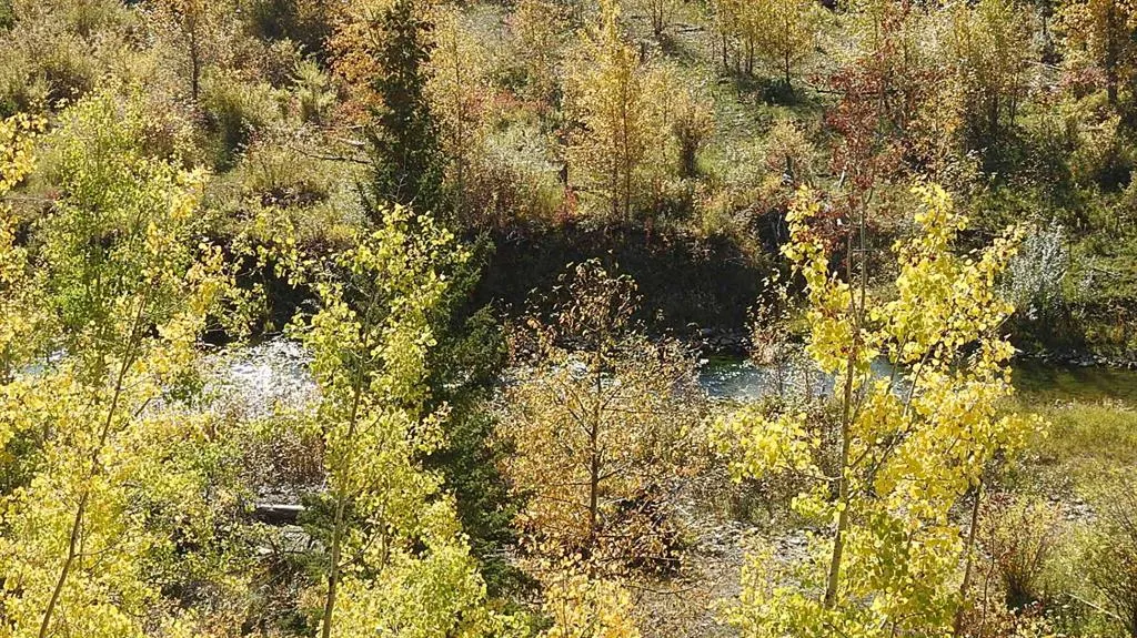 108 Acres bordering Kananaskis