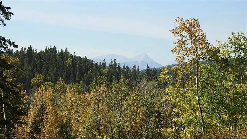 108 Acres bordering Kananaskis