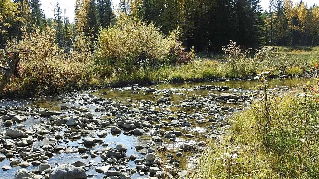 108 Acres bordering Kananaskis
