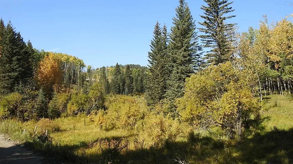 108 Acres bordering Kananaskis