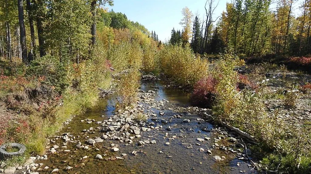 108 Acres bordering Kananaskis