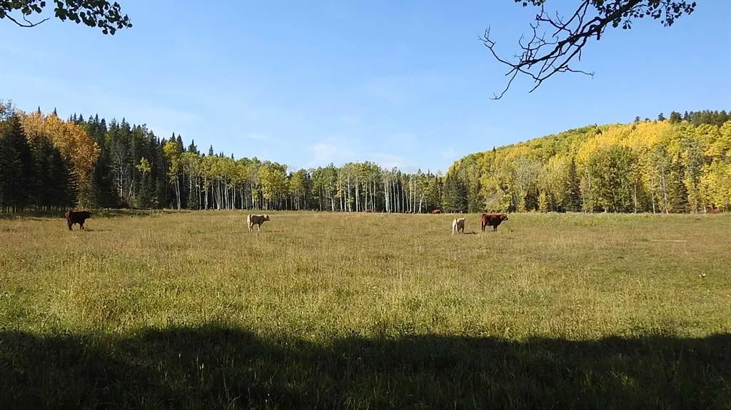 108 Acres bordering Kananaskis