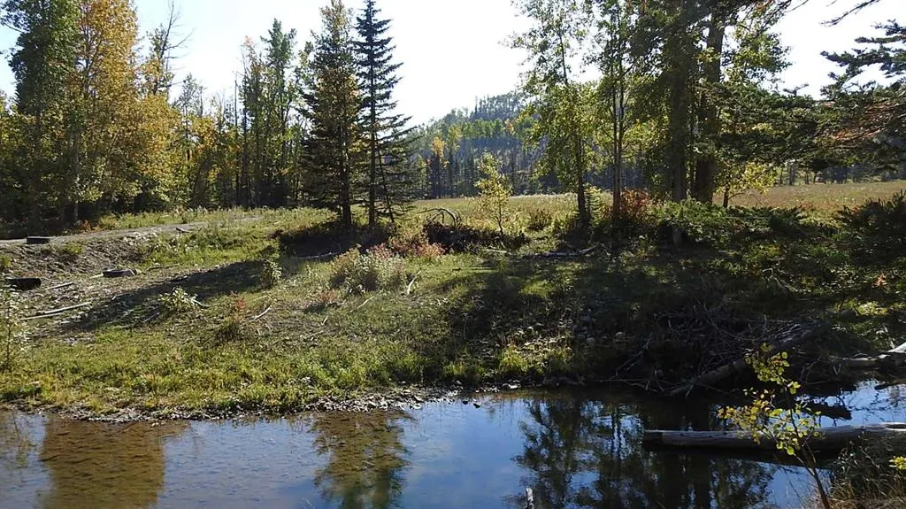 108 Acres bordering Kananaskis