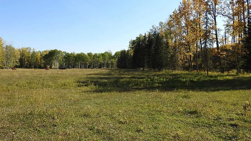 108 Acres bordering Kananaskis
