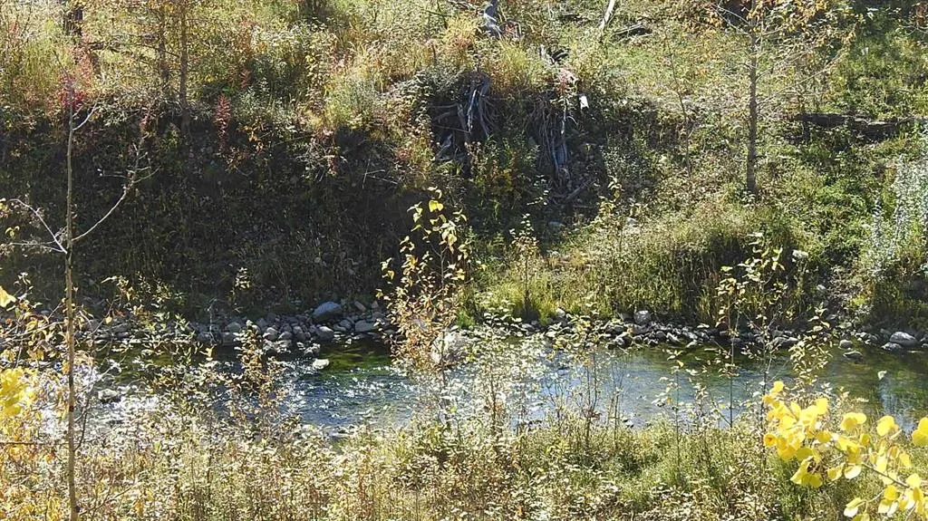 108 Acres bordering Kananaskis