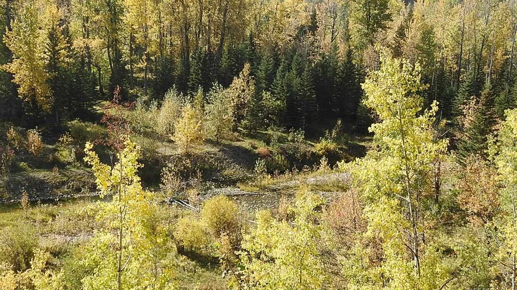 108 Acres bordering Kananaskis