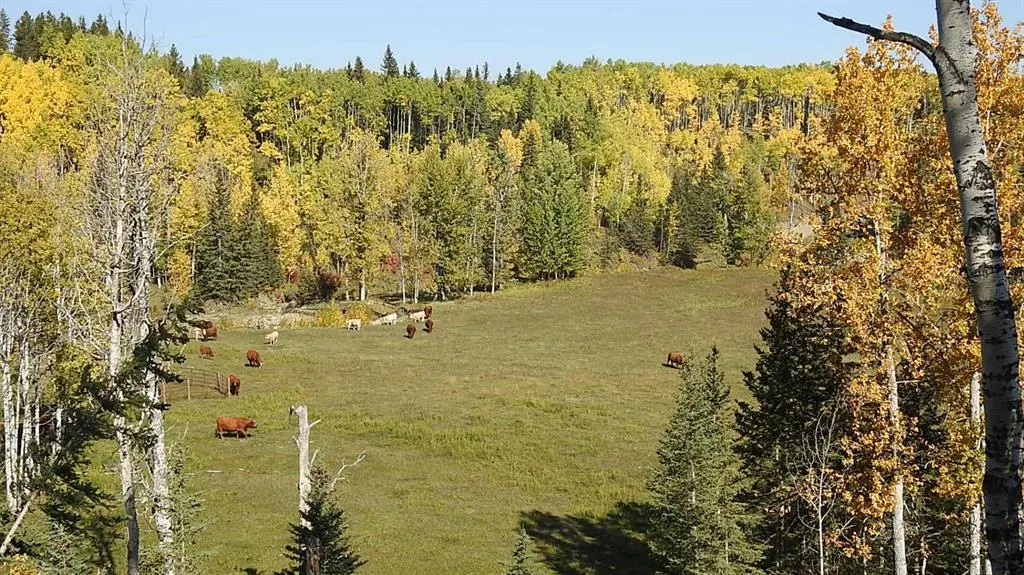 108 Acres bordering Kananaskis