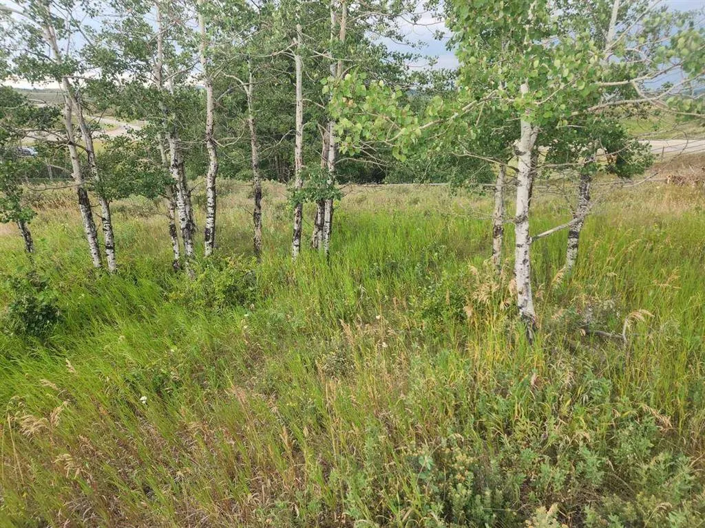 430 Cottageclub Cove
