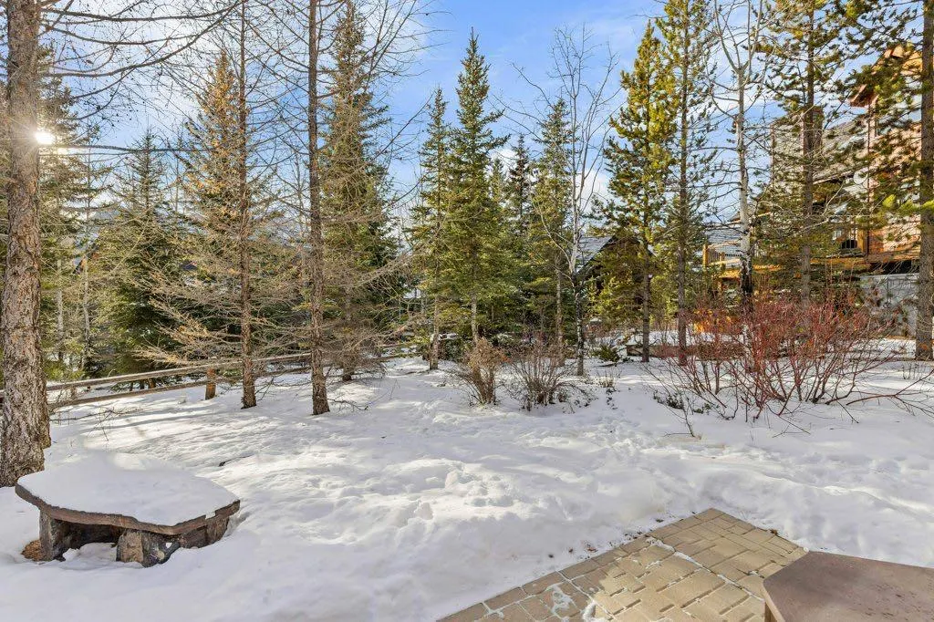 521 Silvertip Road