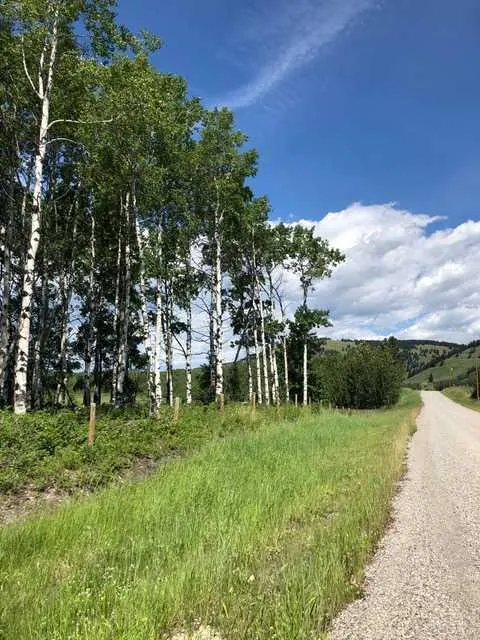 Range Rd 55 - Forestry Trunk Rd (SE 30-26-5-5)