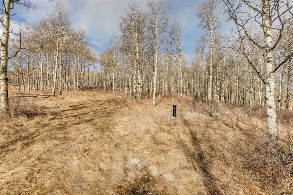Range Rd 55 - Forestry Trunk Rd (SE 30-26-5-5)