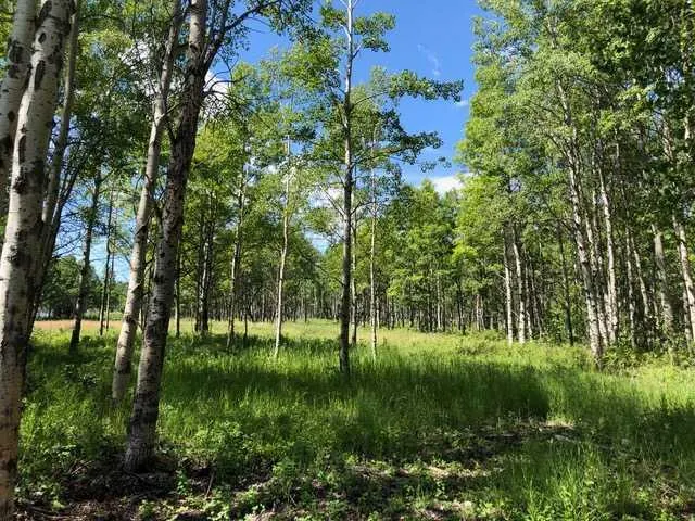 Range Rd 55 - Forestry Trunk Rd (SE 30-26-5-5)