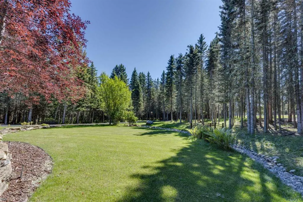 118 Mountain Lion Drive